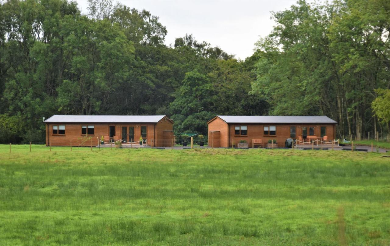 Ridge View Lodge 邓弗里斯 外观 照片